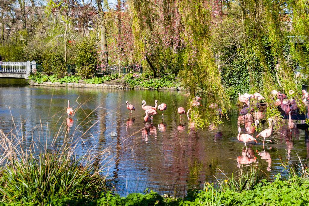 Hotel Park Plantage Amsterdam Zewnętrze zdjęcie